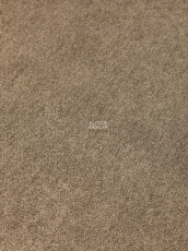 Haima Coral 06 фото 21 | FLOORDEALER